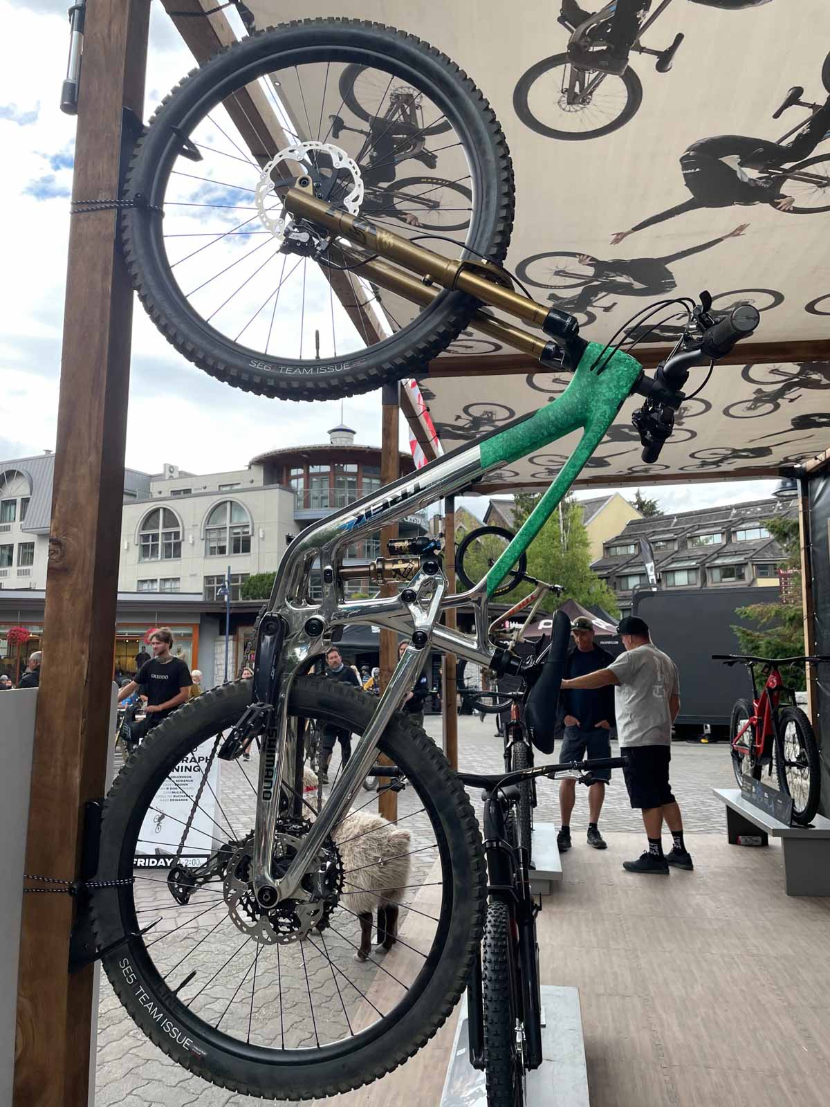 Trek Cam McCaul 20th anniversary Fuel EX