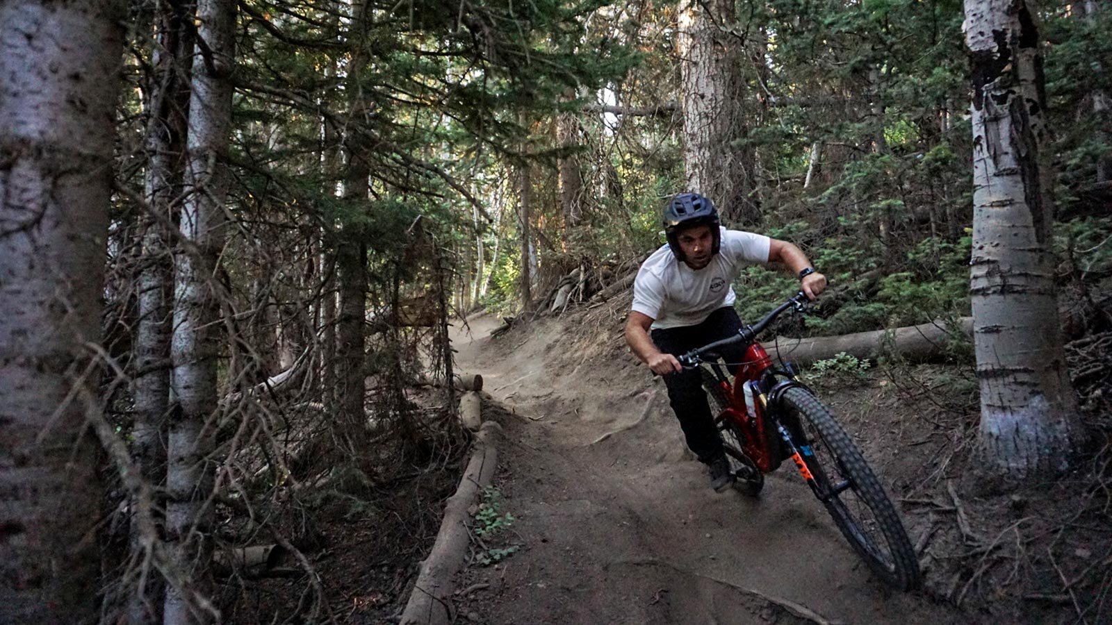 Forge and Bond 25 MTN vibration-damping FusionFiber carbon mountain bike handlebar, riding with improved comfort & control, and reduced fatigue
