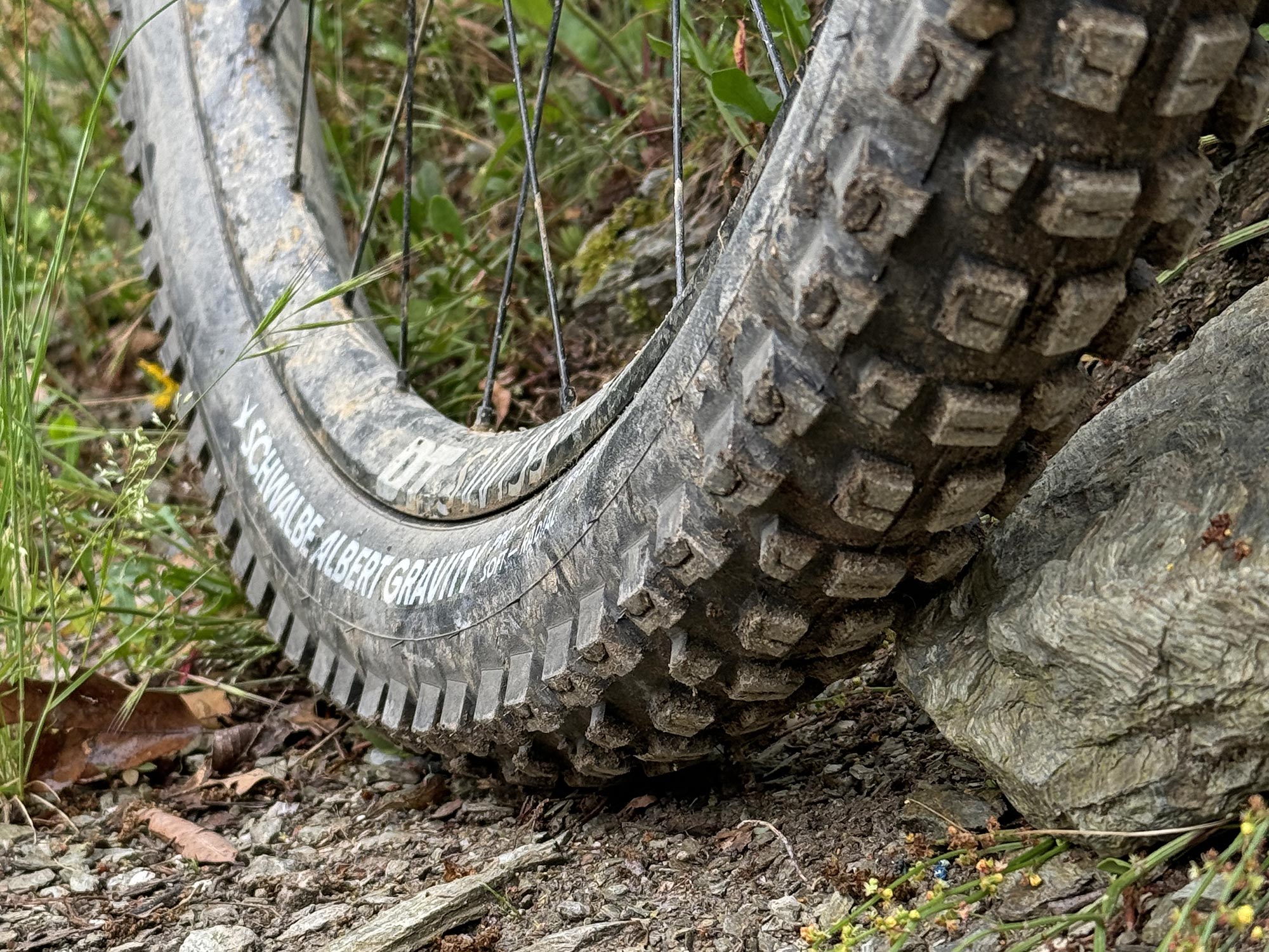 Schwalbe Albert Gravity Pro Radial enduro all-mountain bike tire review, dirty tread