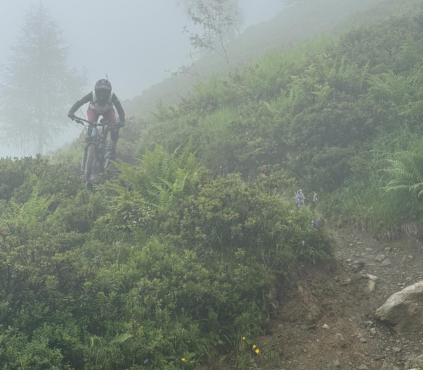 Schwalbe Albert Radial enduro all-mountain bike tires review, Leogang Saalback clouds too