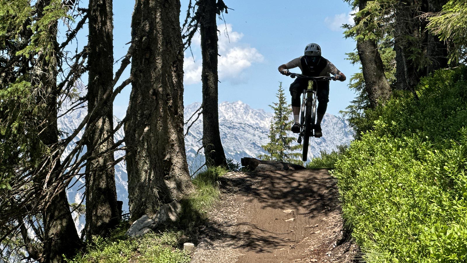 Schwalbe Albert Radial enduro all-mountain bike tires review, epic views at Epic Bikepark Leogang