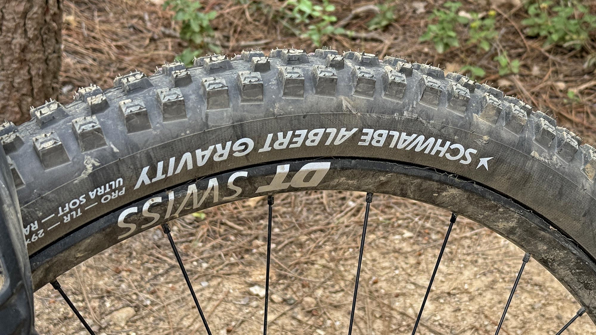 Schwalbe Albert Gravity Pro Radial enduro all-mountain bike tire review, sidewall detail