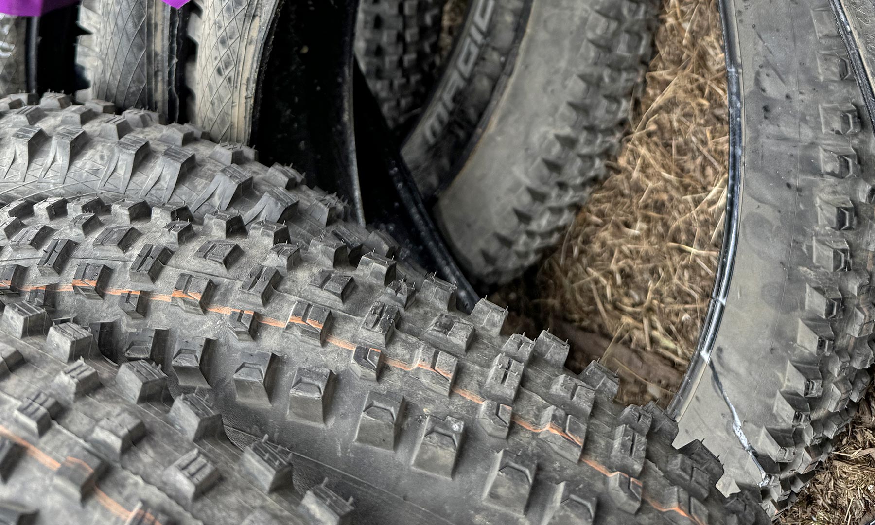 Schwalbe Albert Gravity Pro Radial enduro all-mountain bike tire review, tire swaps from Magic Mary Super Gravity for testing