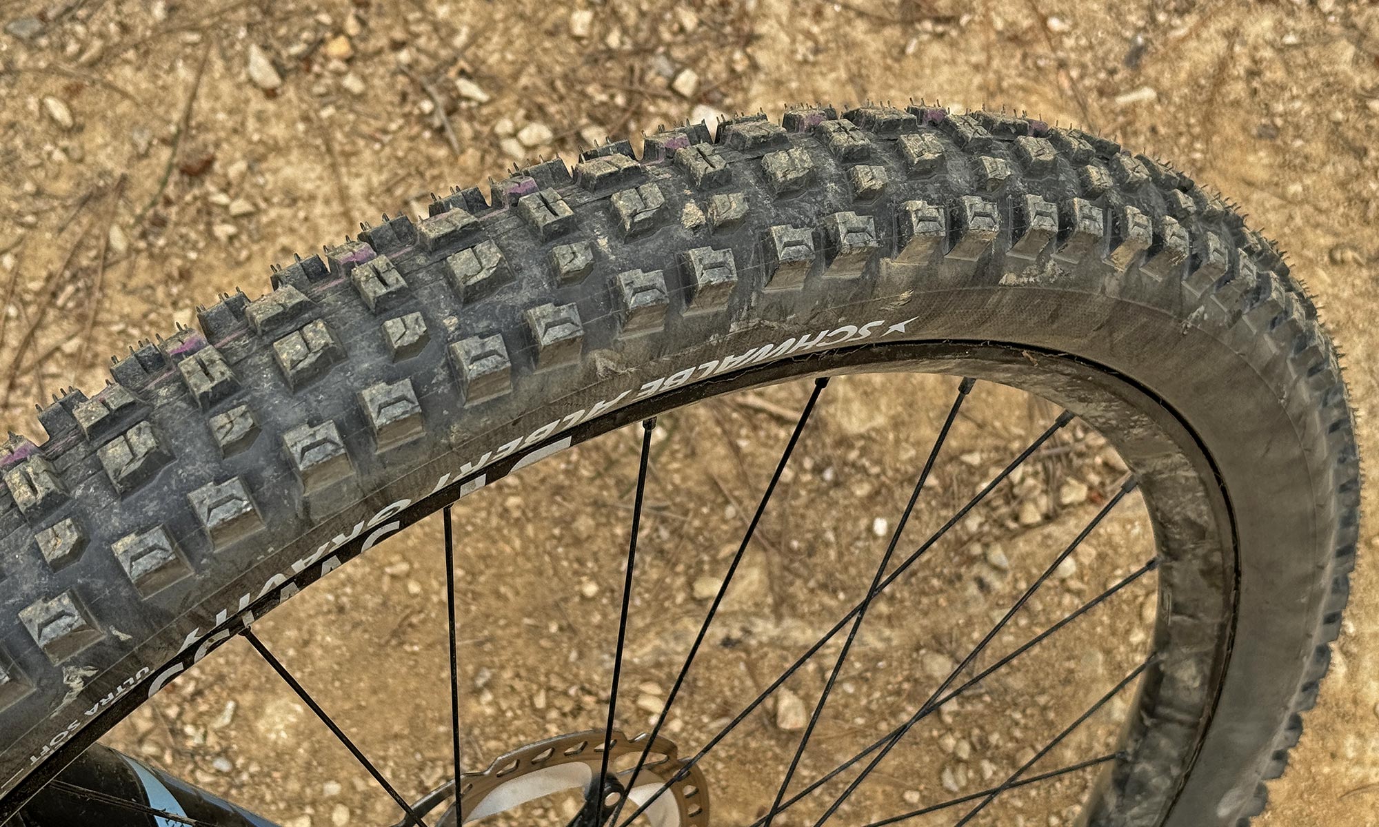Schwalbe Albert Gravity Pro Radial enduro all-mountain bike tire review, tread detail