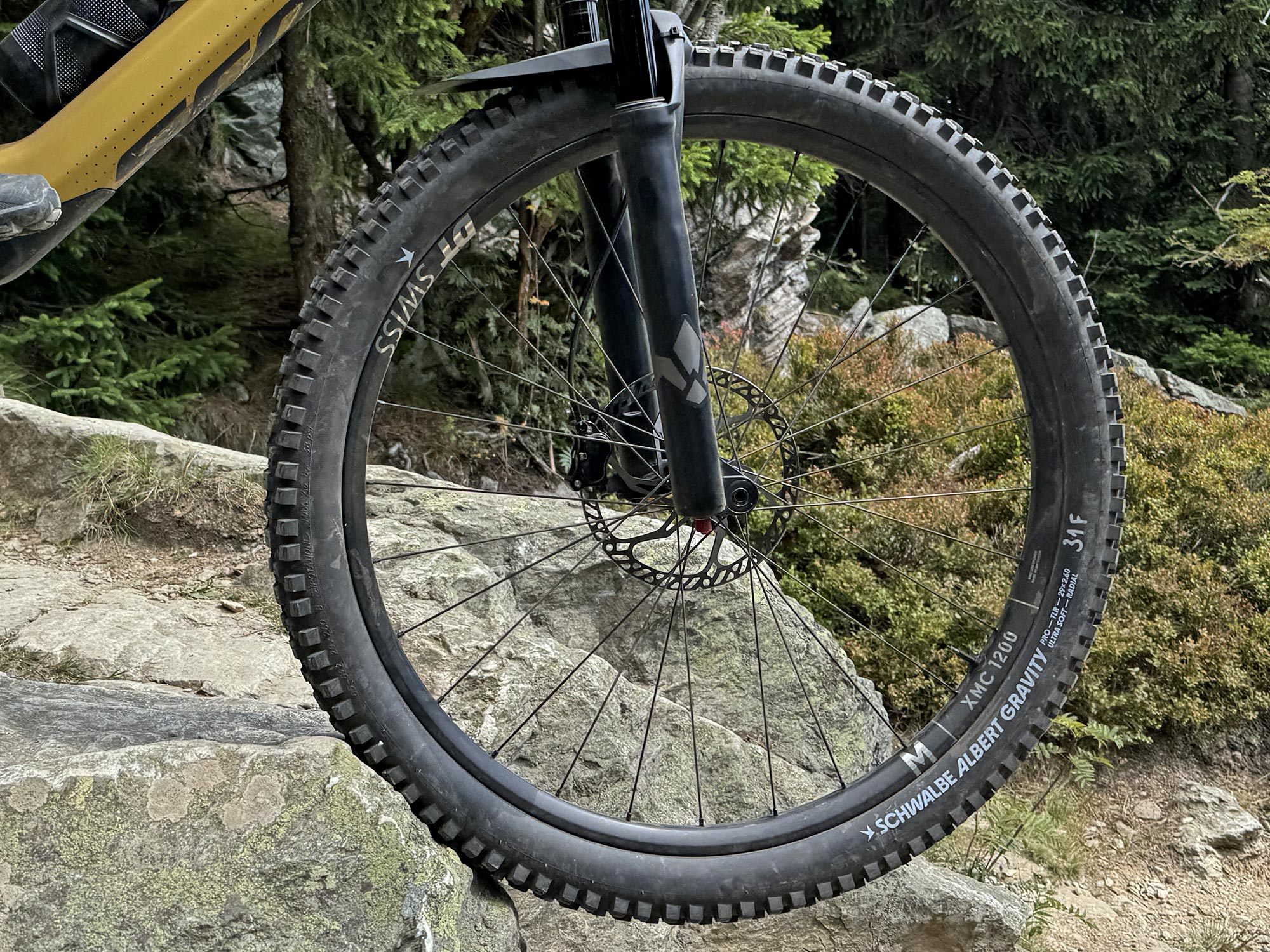 Schwalbe Albert Gravity Pro Radial enduro all-mountain bike tire review, close-up