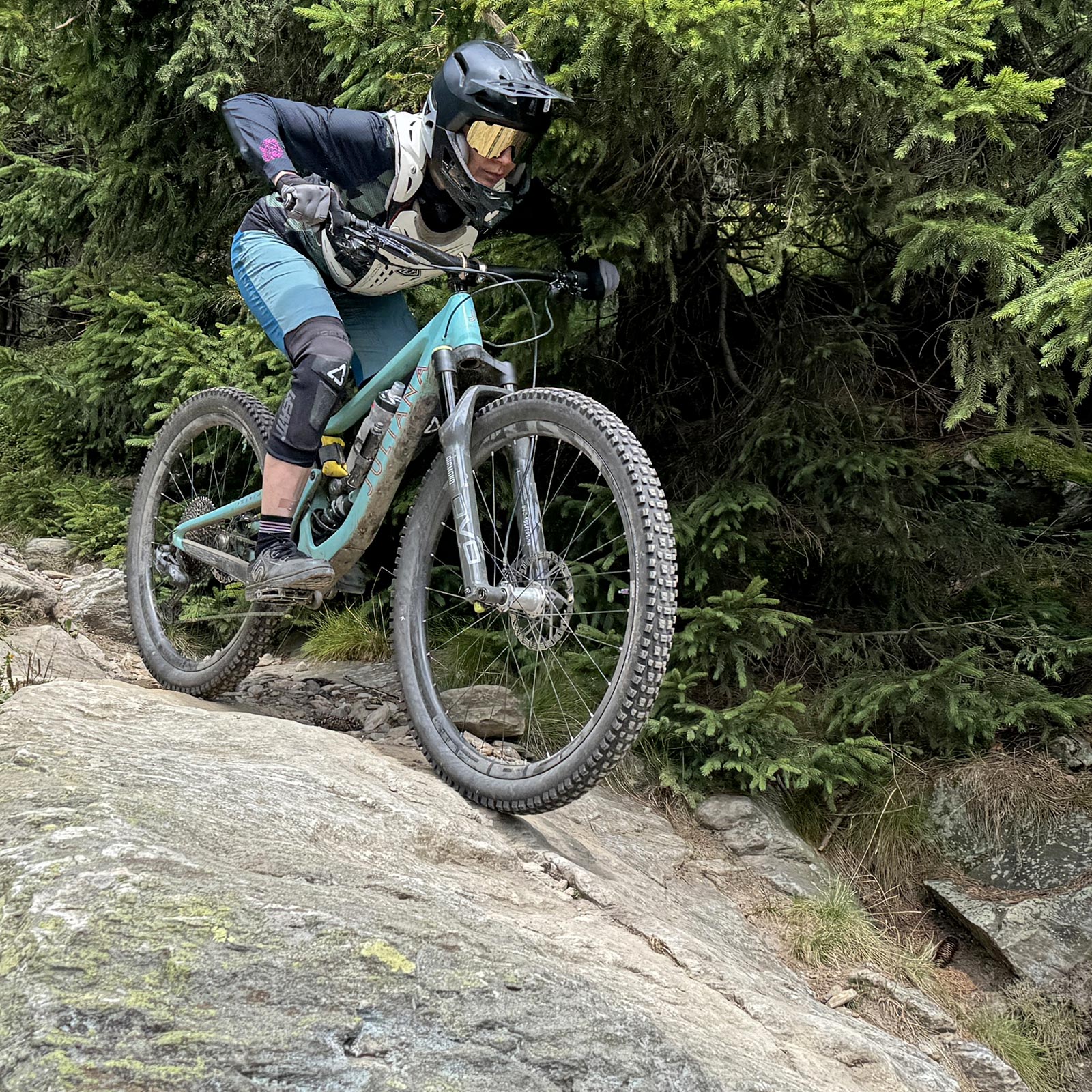 Schwalbe Albert Trail Pro Radial enduro all-mountain bike tire review, rock riding
