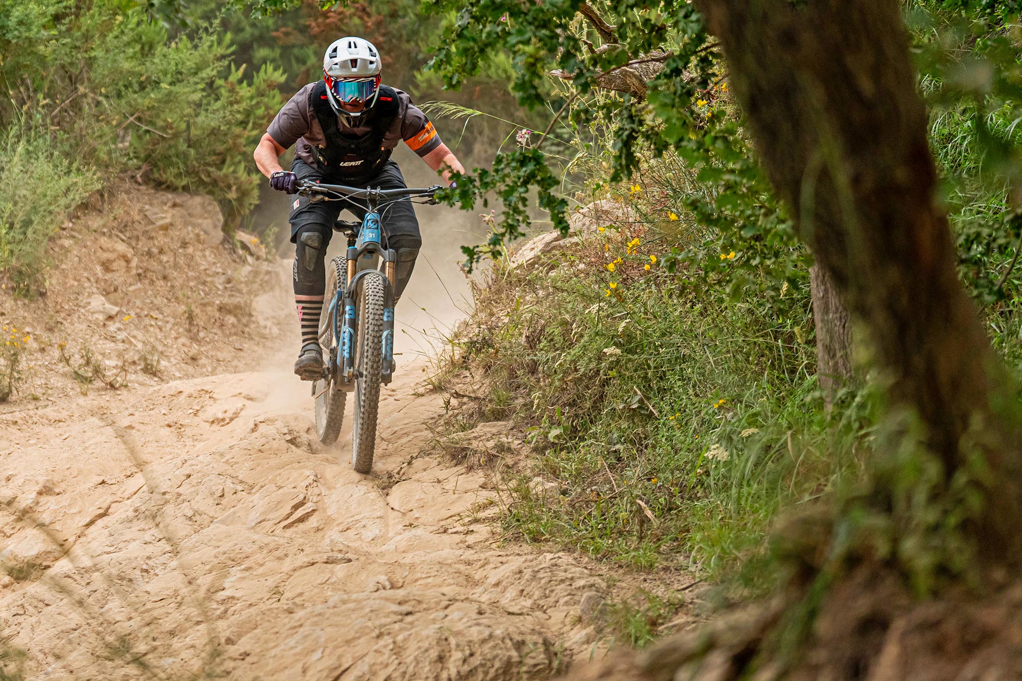 Schwalbe Radial Trail Gravity mountain bike tires, Albert Gravity finale testing