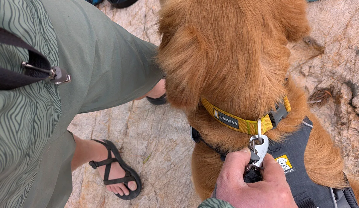 Ruffwear Press Paws