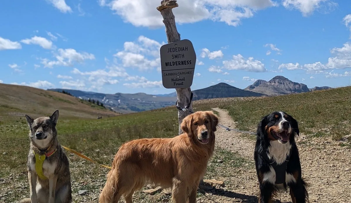 Ruffwear Press Paws