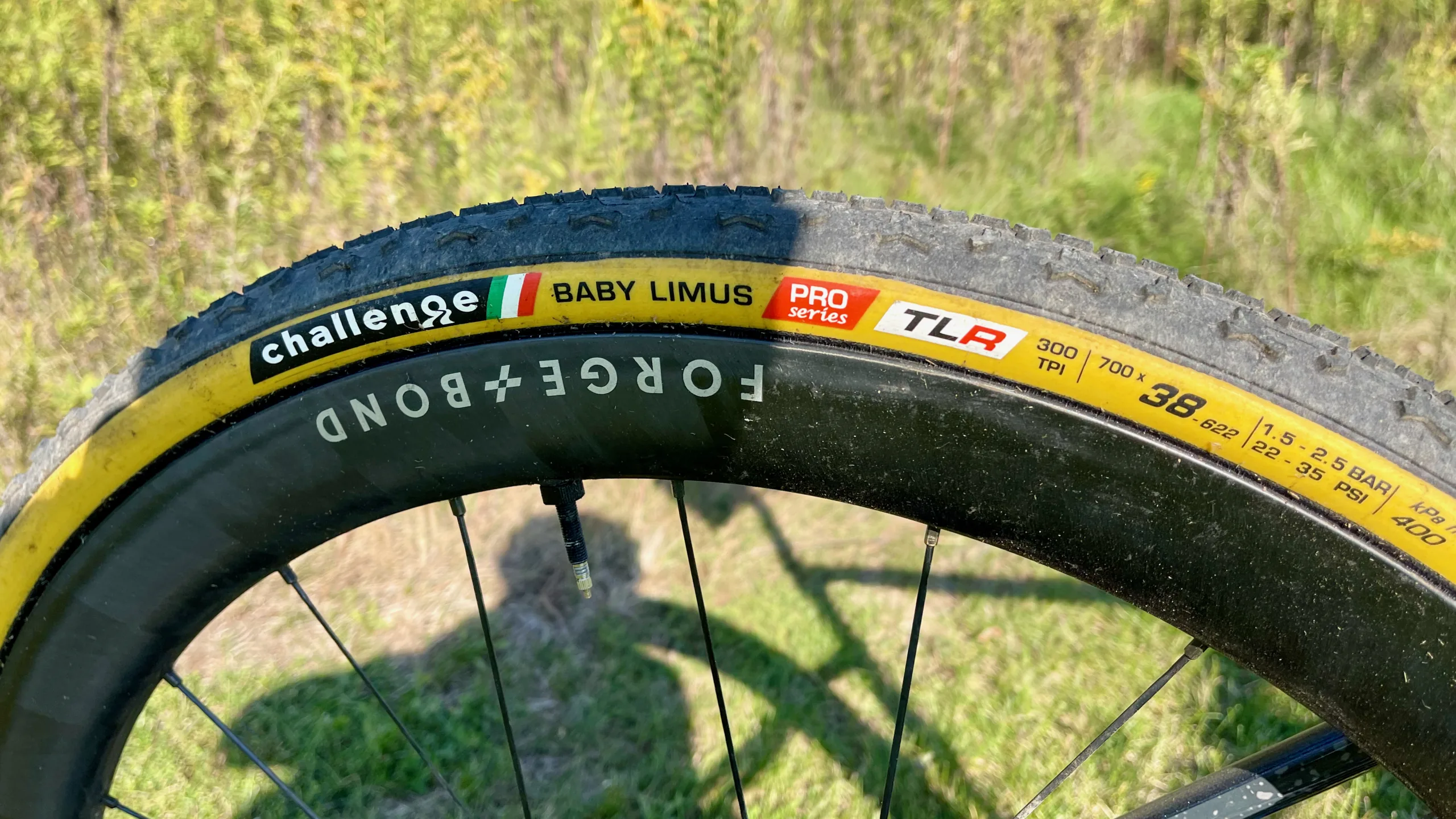 Challenge Baby Limus 38mm HTLR side