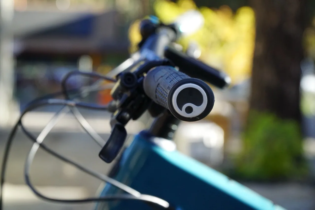 Ergon GE1 Evo Factory Grip Review bar plug