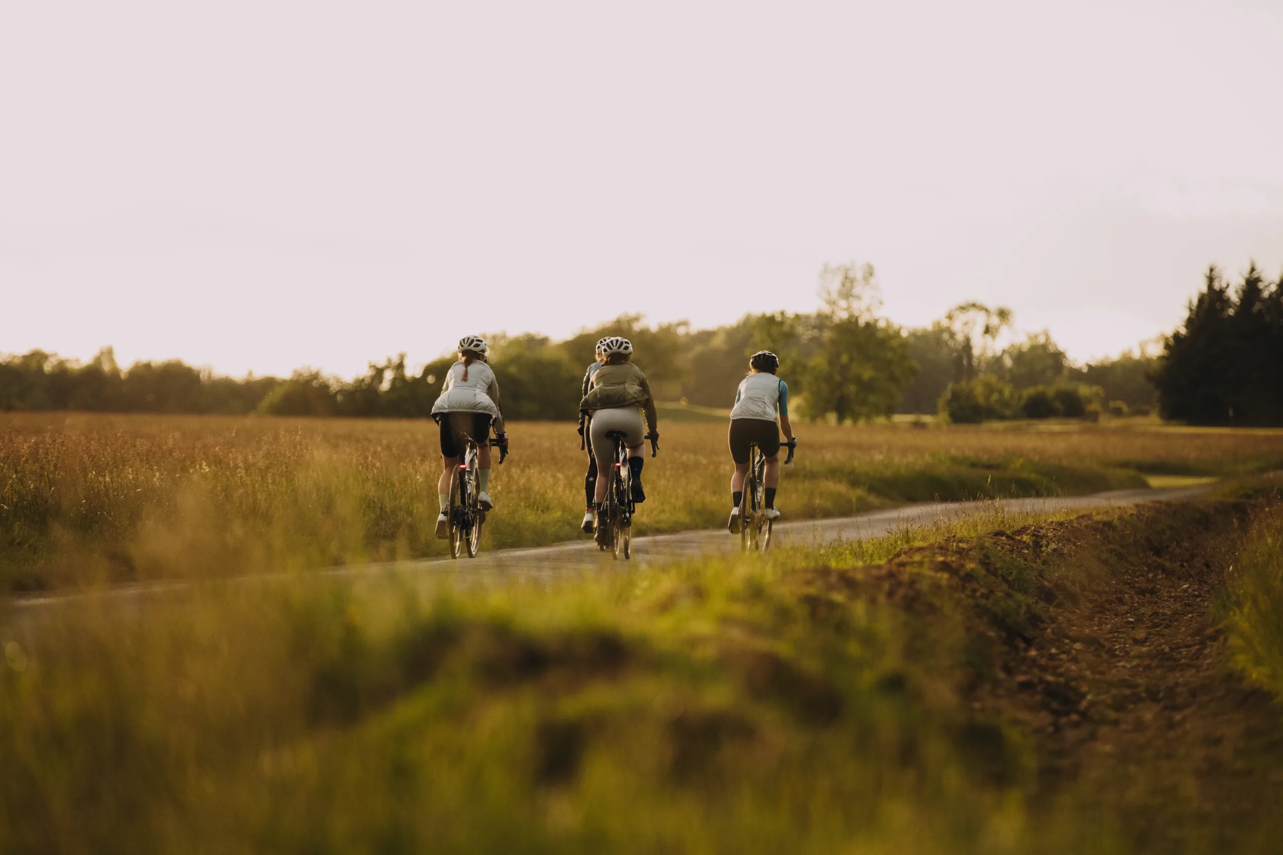 Group of riders in the sunset