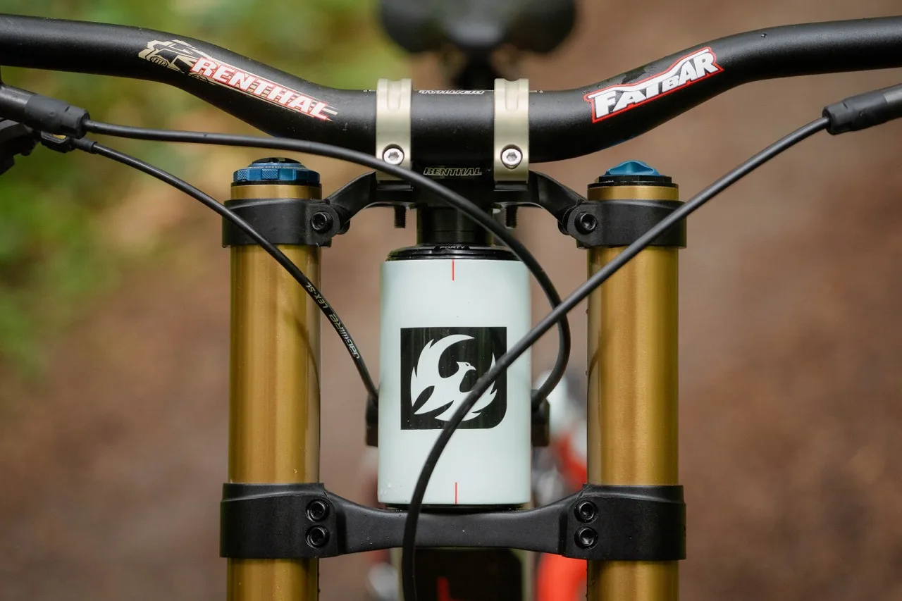 Pivot Phoenix Downhill bike details in the wild