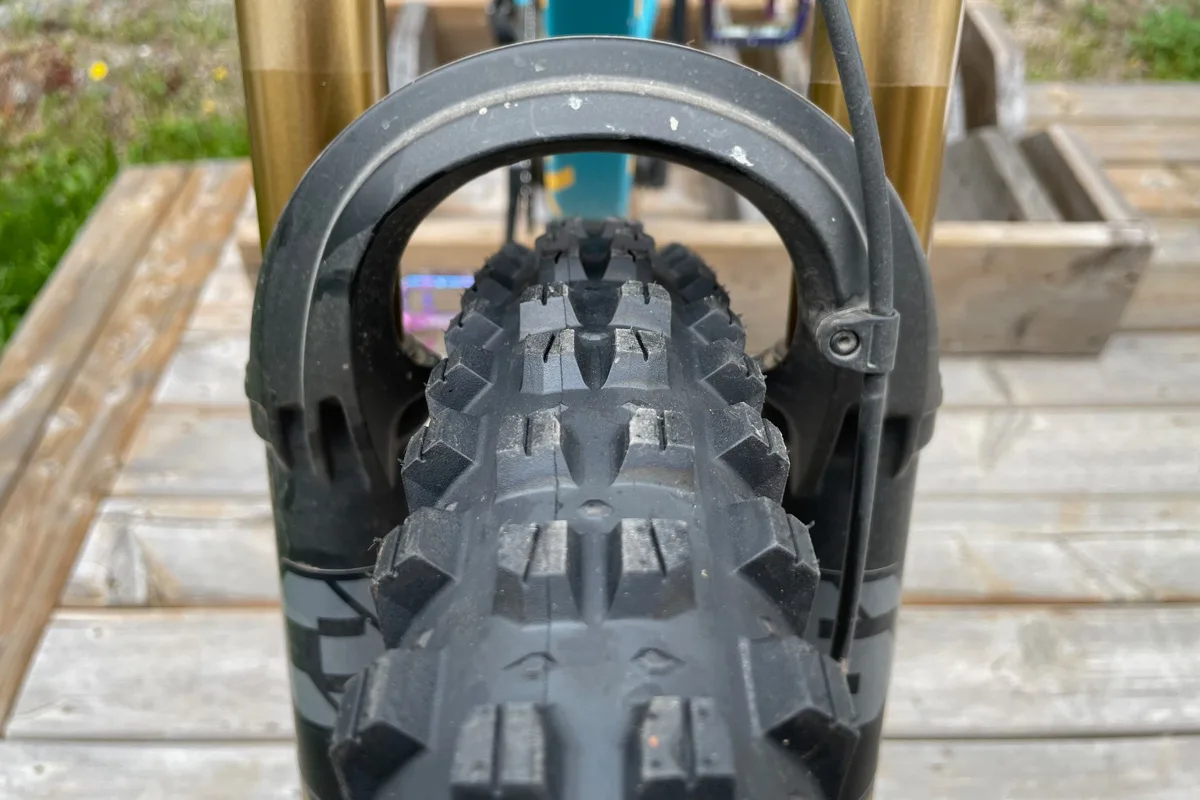 WTB Verdict SG1 tire, on bike