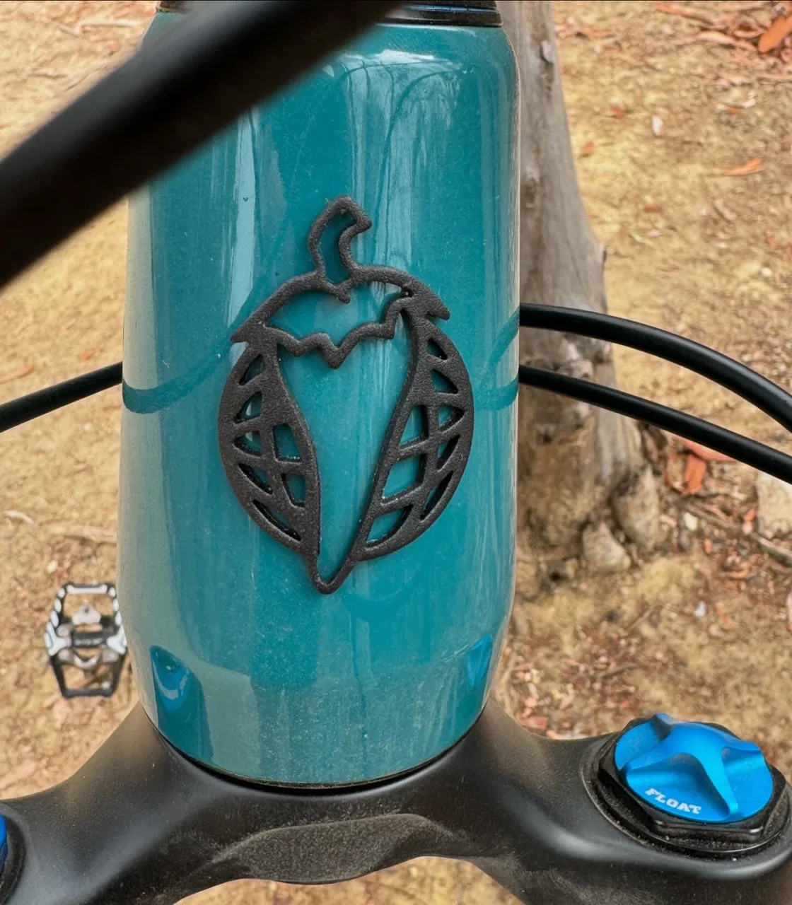 Ron's Editor's Choice Awards Salsa Blackthorn head tube