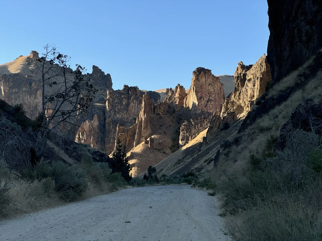 Ron's Editor's Choice Awards gulch