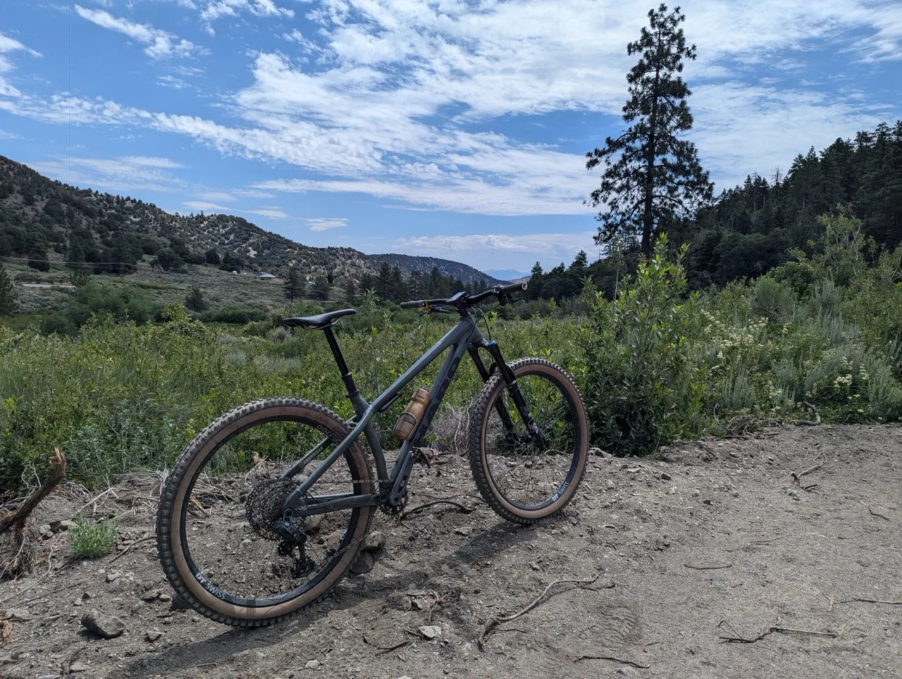 Ron's Editor's Choice Awards teravail Kessel on Haro