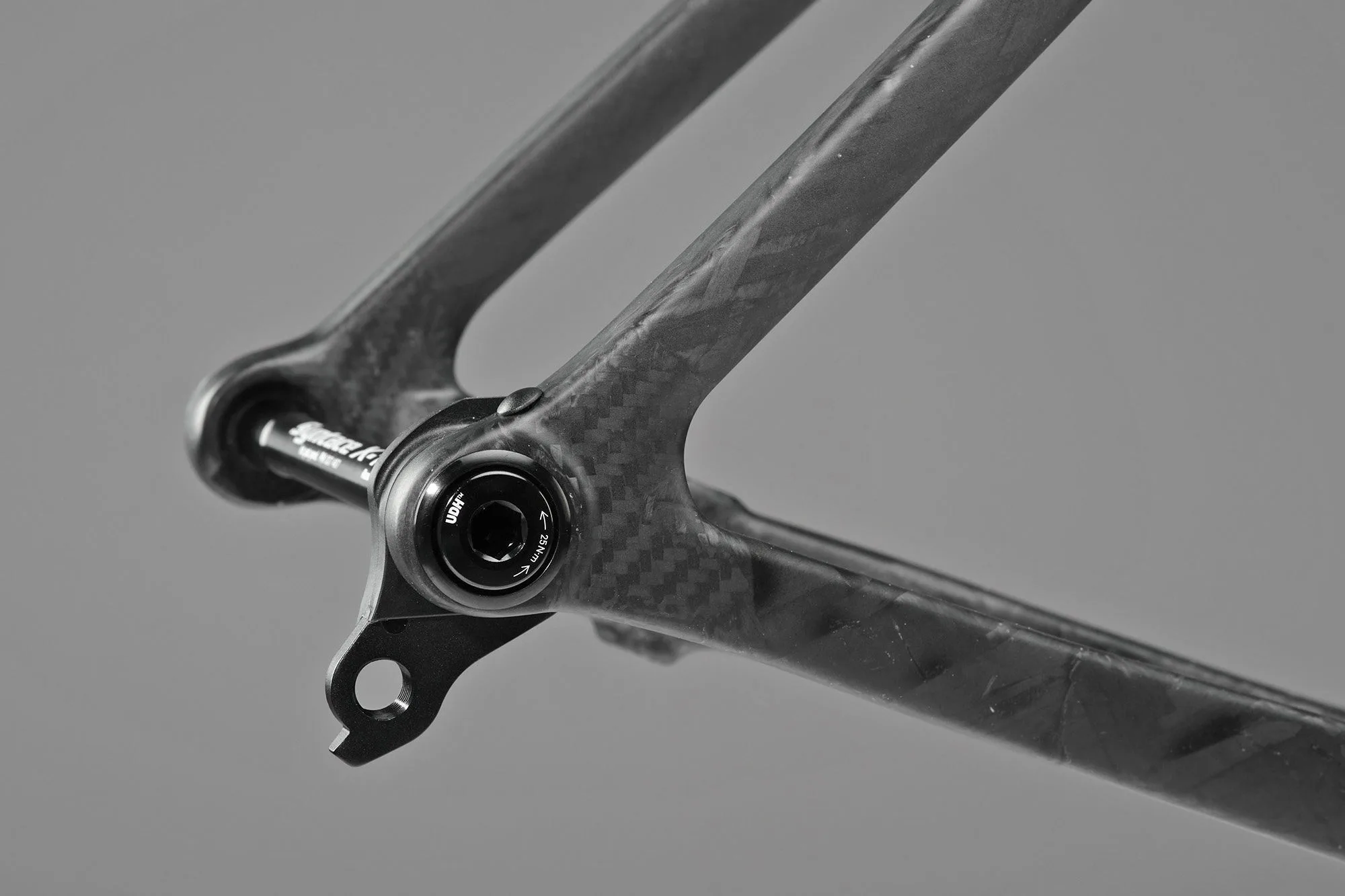 All made-in-Italy 3T Italia bikes go UDH, derailleur hanger detail