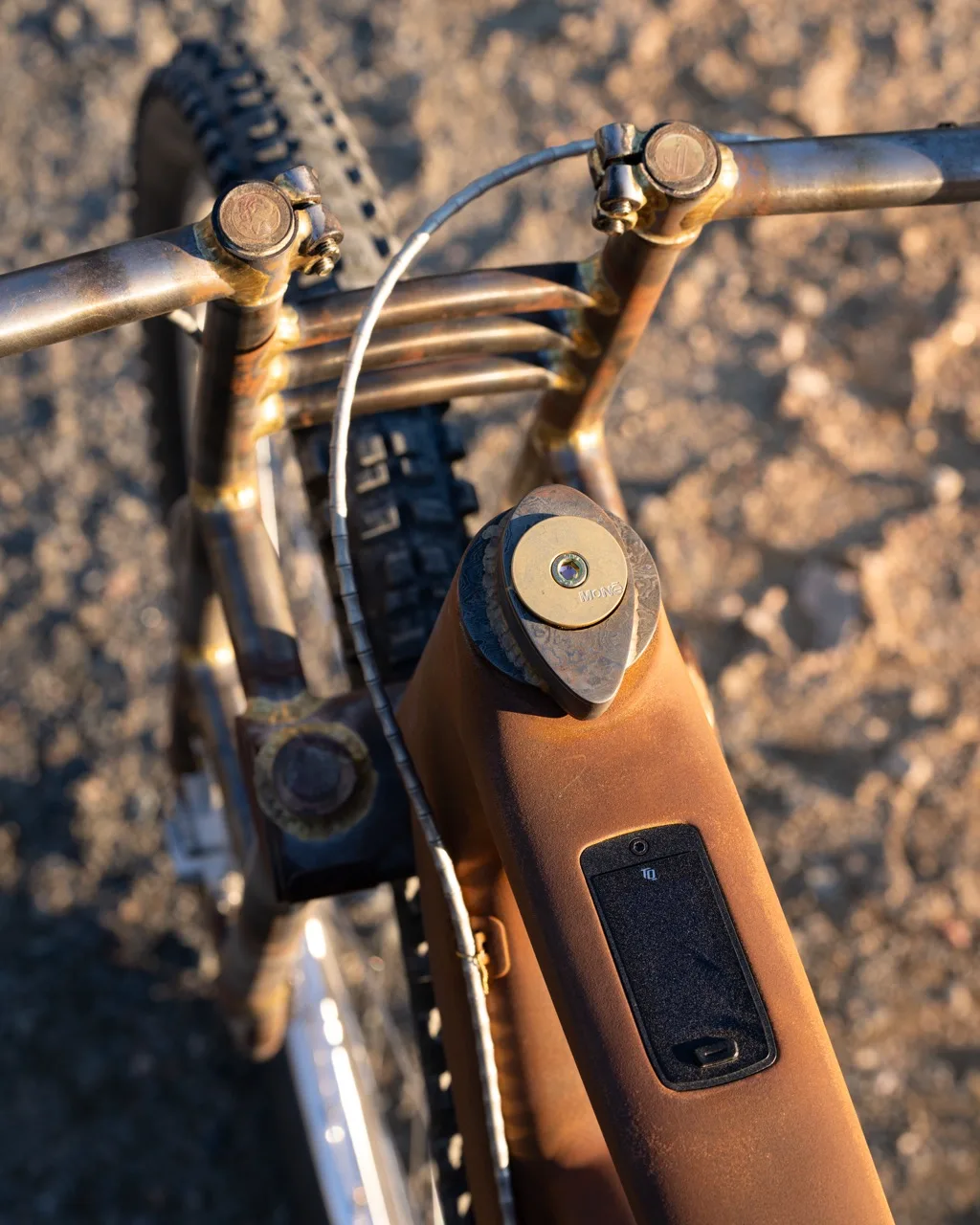 Dangerholm Solace Wasteland custom bike