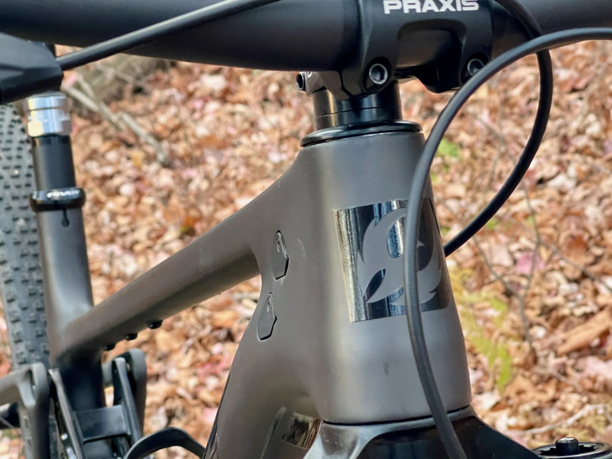 Pivot Mach 4 SL Flight Attendant Review headtube