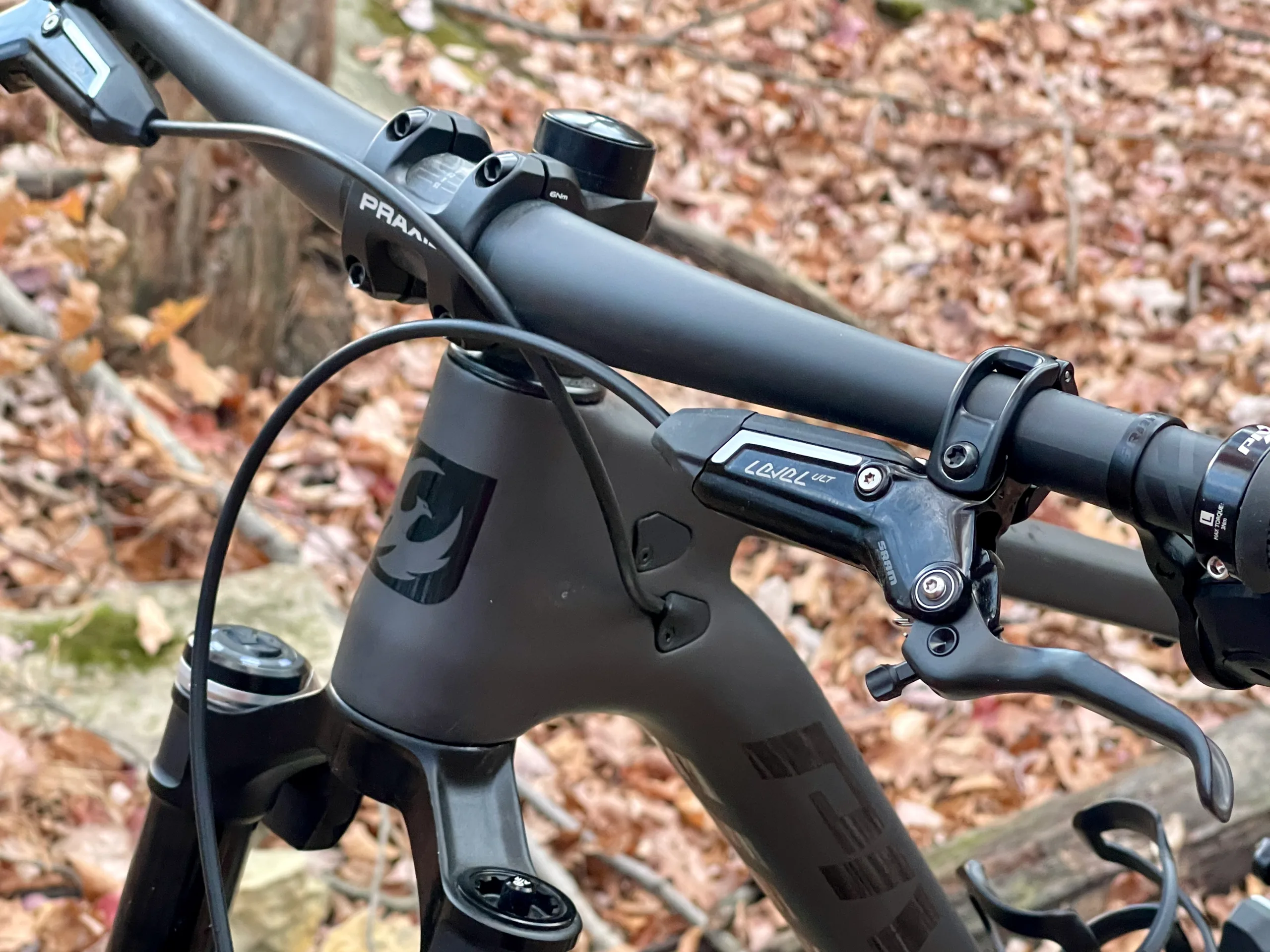 Pivot Mach 4 SL Flight Attendant Review stem