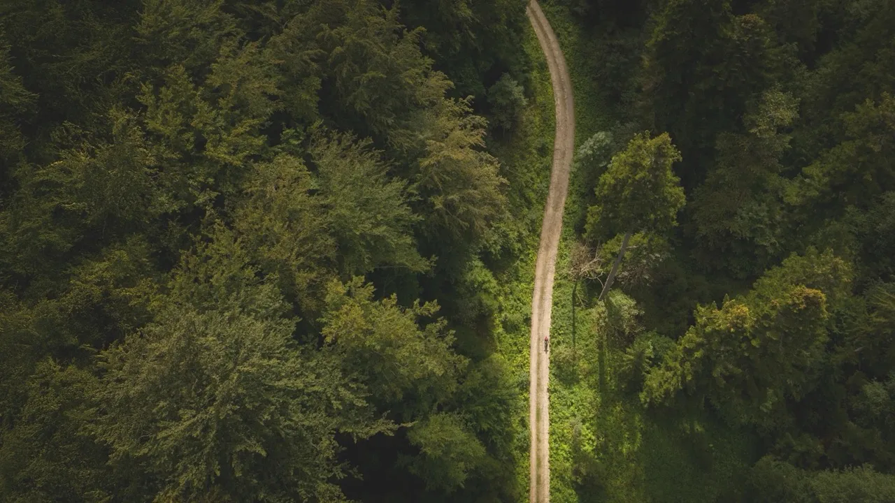 Trek Bike's 2024 Sustainability Report bird's eye