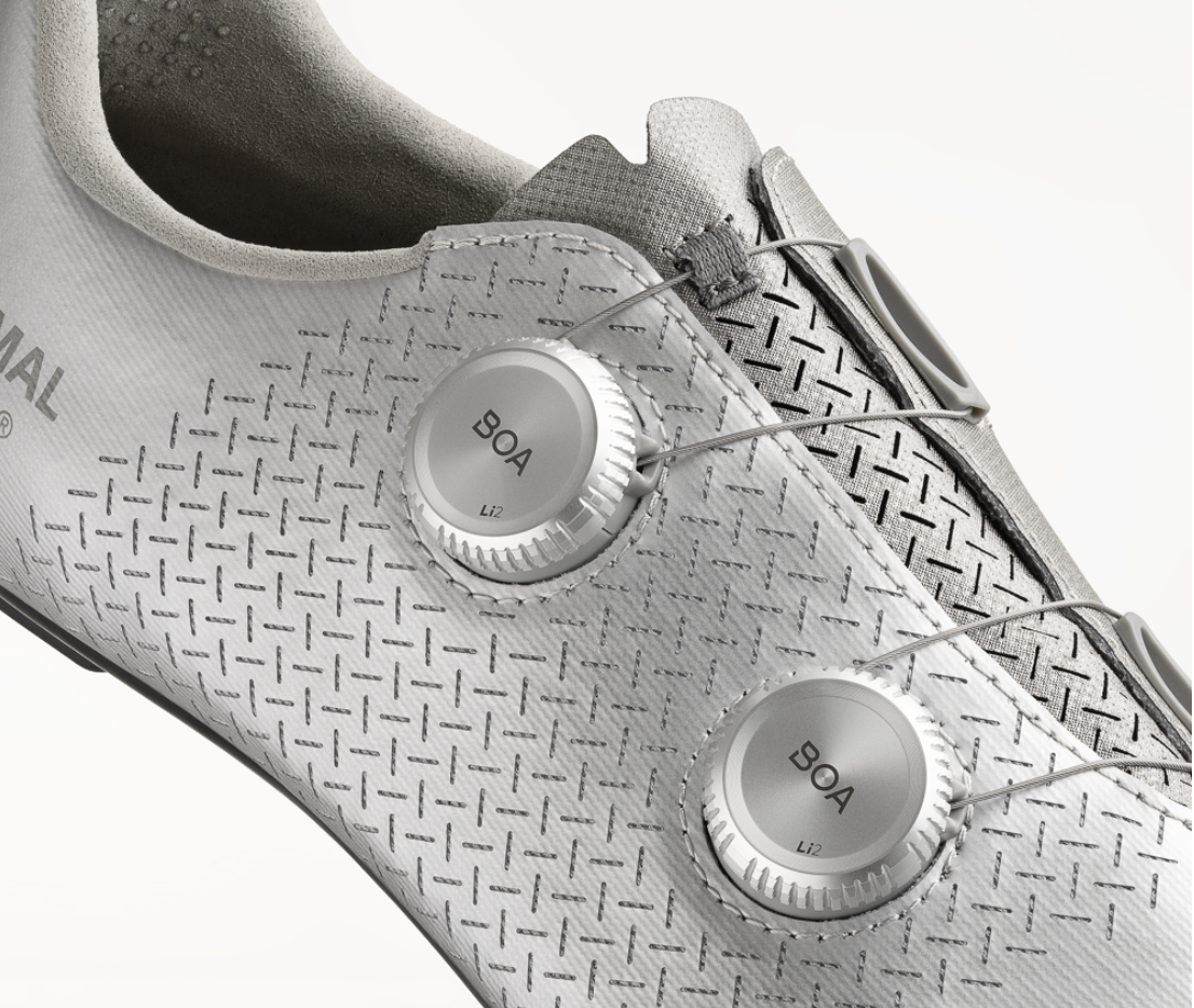 New Fizik Road Shoes PNS