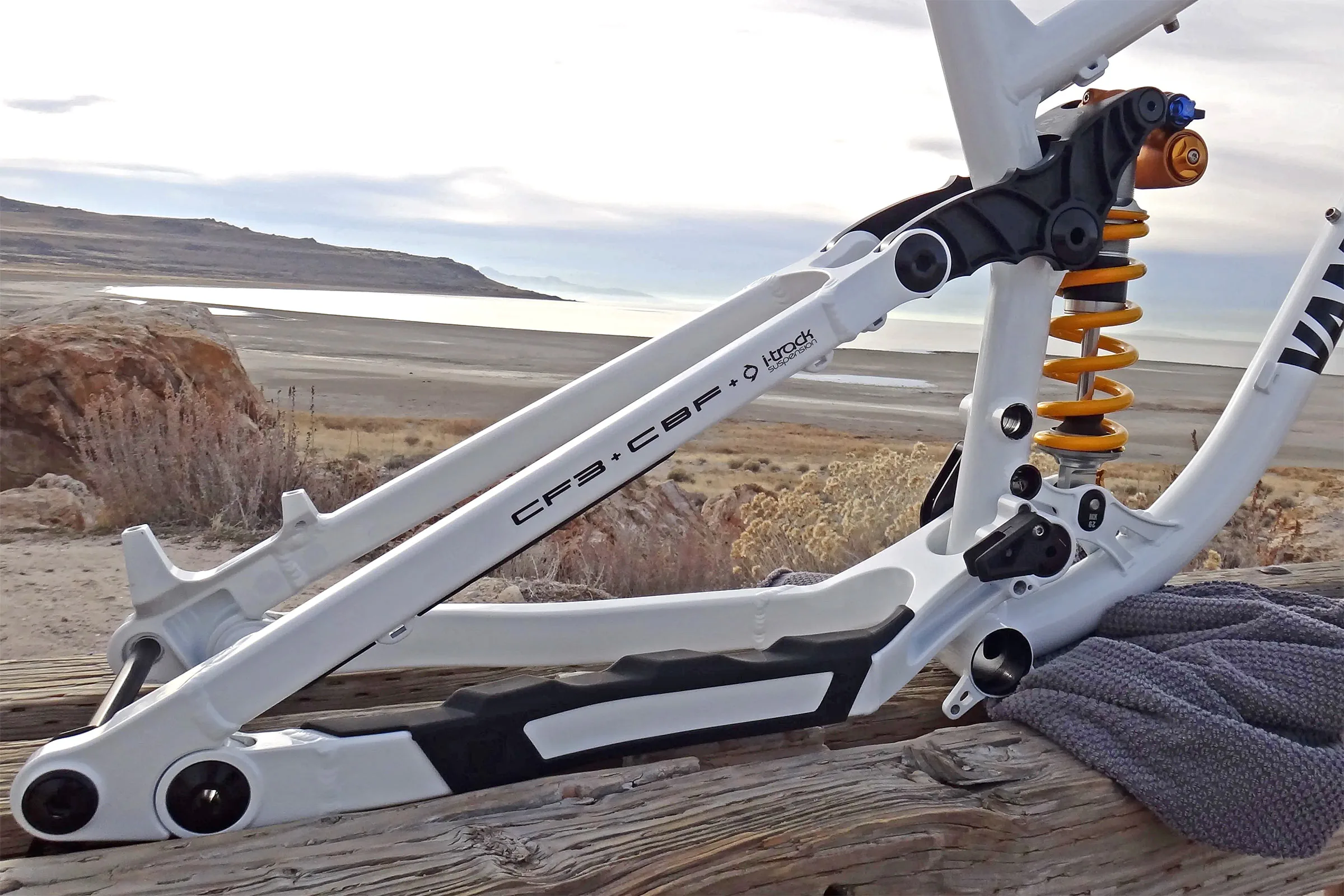 Vampire Fastarossa DH bike low mid high pivot adjustable CF3 suspension, rear end detail