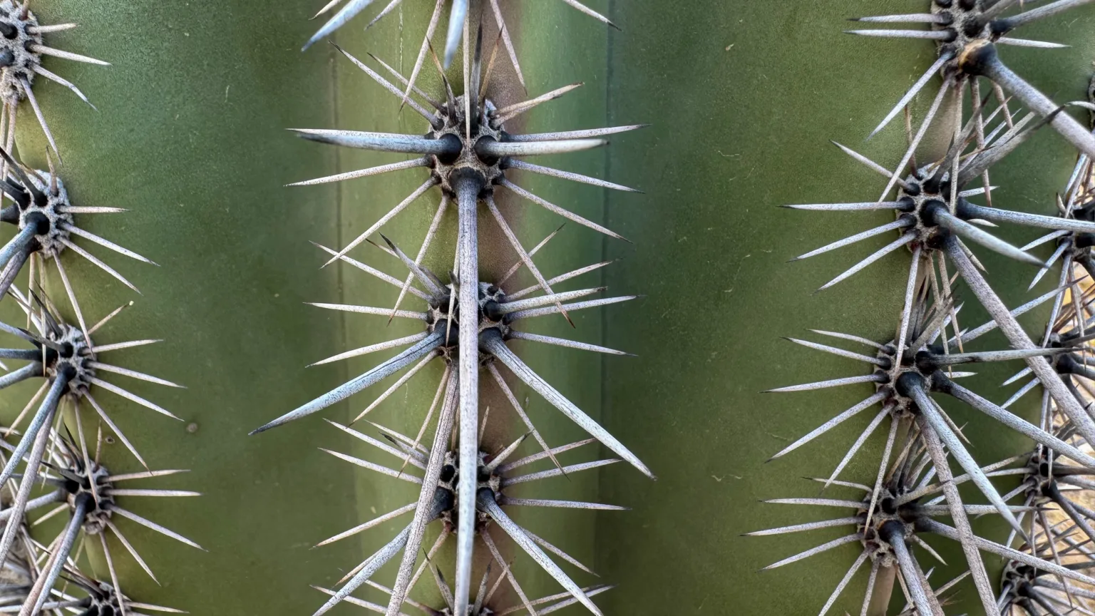 why you should use hand guards when riding mountain bikes in the desert