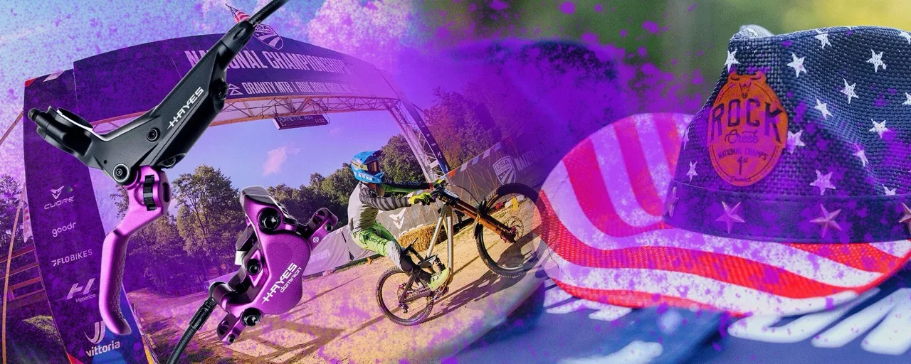 Purple Hayes Dominion A4 Brakes hero