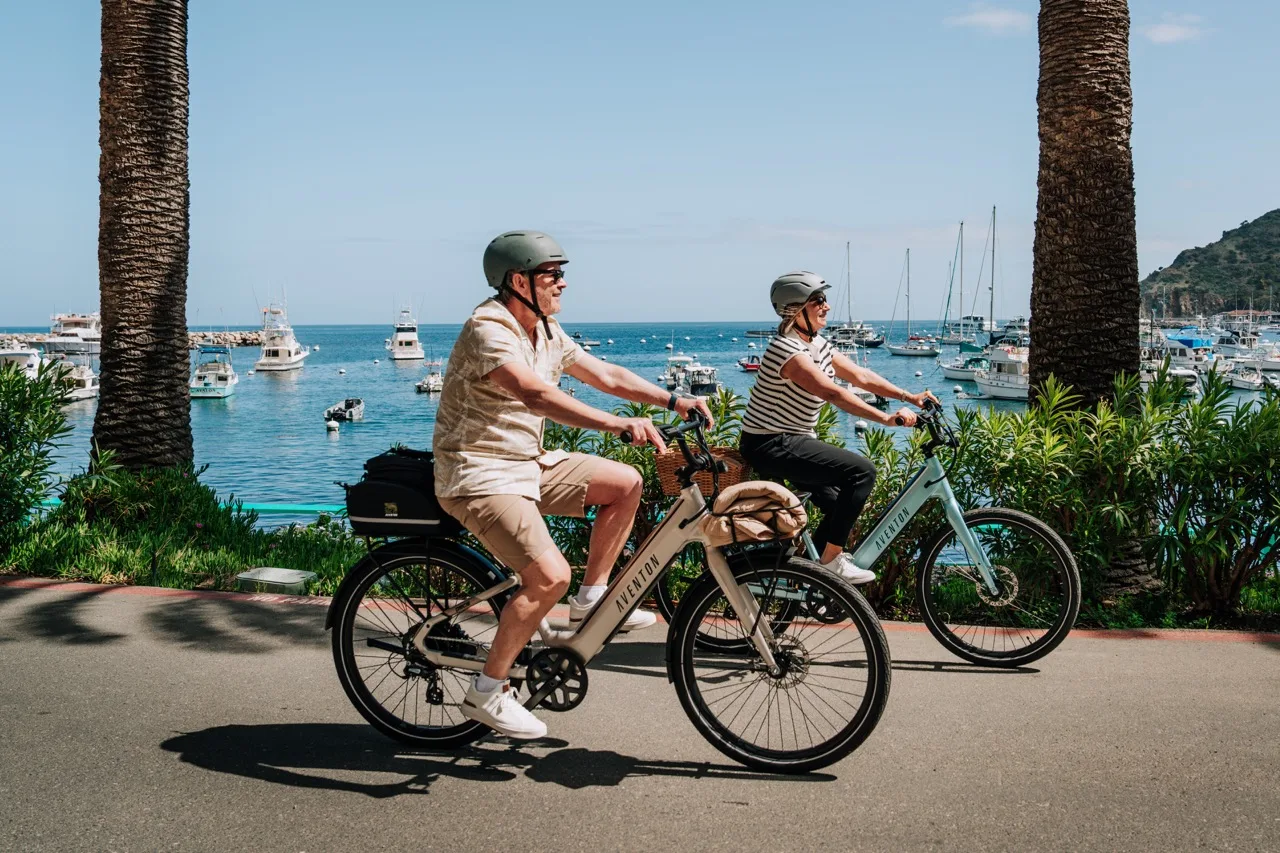 Aventon Pace 4 eBike Cruiser hero