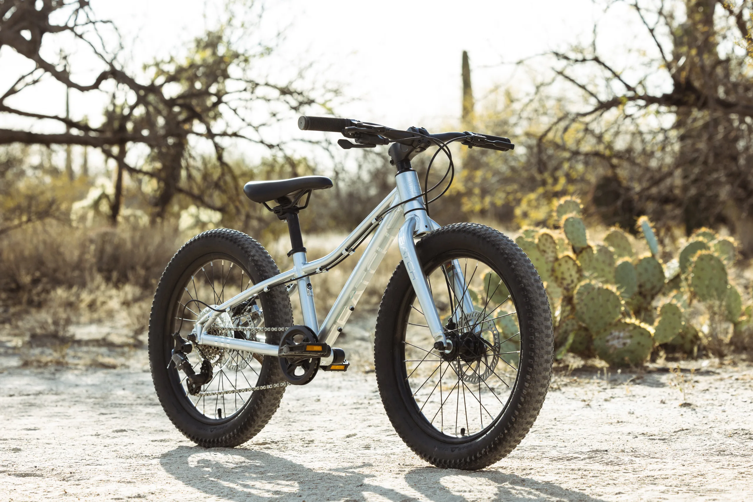 Batch Kids Tucson Kids 20_ MTB Platinum full