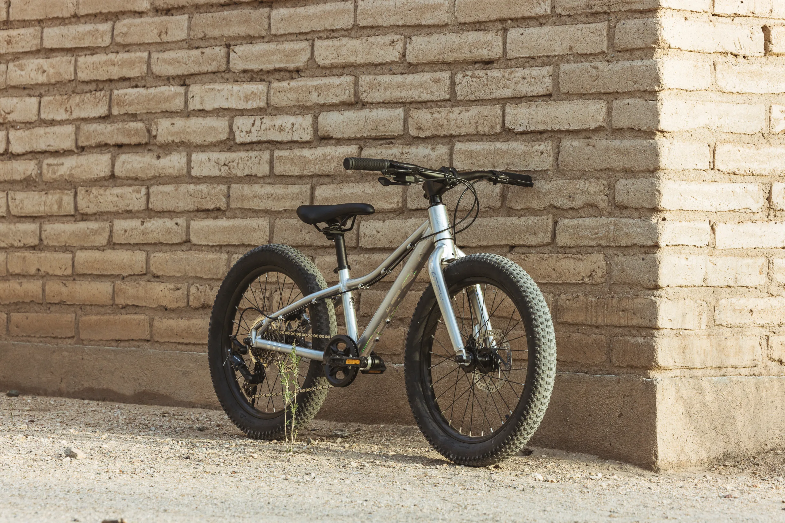 Batch Kids Tucson Kids 20_ MTB Platinum full header