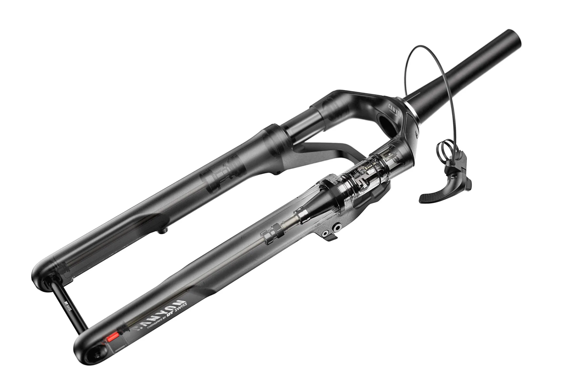 DT Swiss F 132 One for exclusively for Canyon gravel bikes_, x-ray