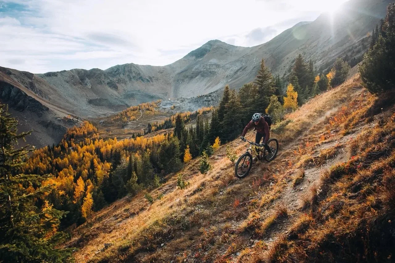A mountain biker riding down a scenic trail on a Rocky Mountain Bike