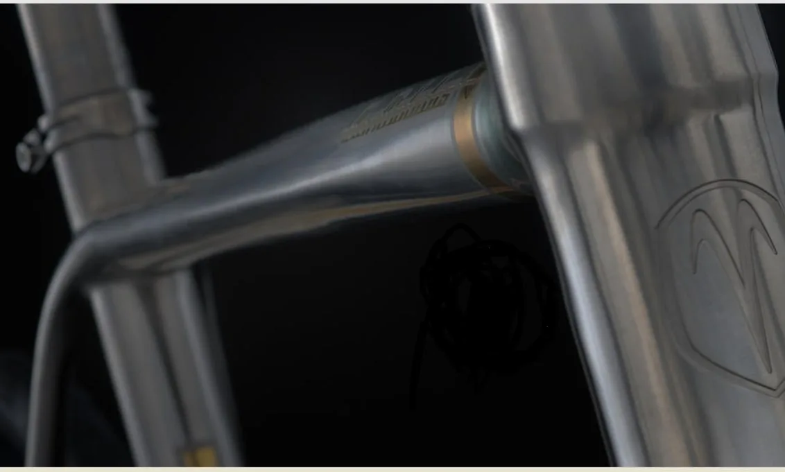 the boldy hydroformed top tube of the Astraeus