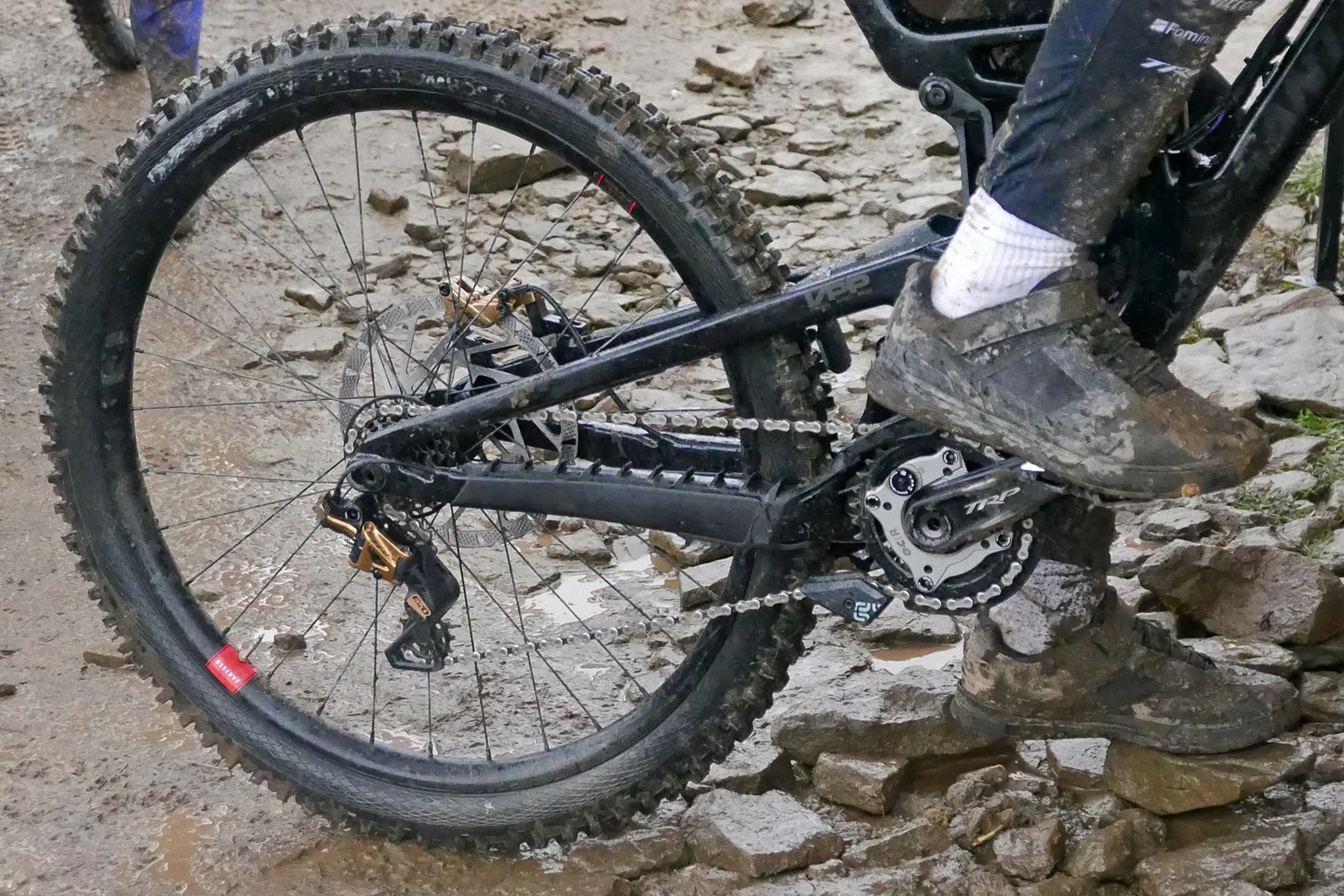 prototype Schwalbe Dirty Dan Gravity Pro Radial mountain bike tires, blacked out with no shoulder knobs?