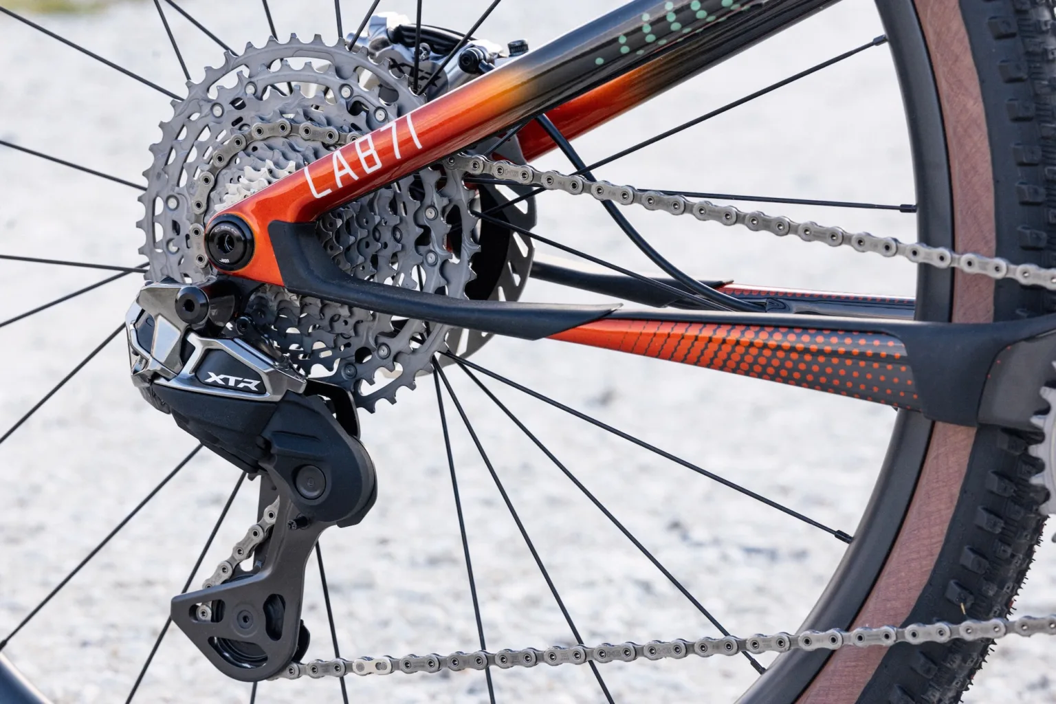 The distinctive flex stays on the CFR Team Edition of the Scalpel LAB71 bike.