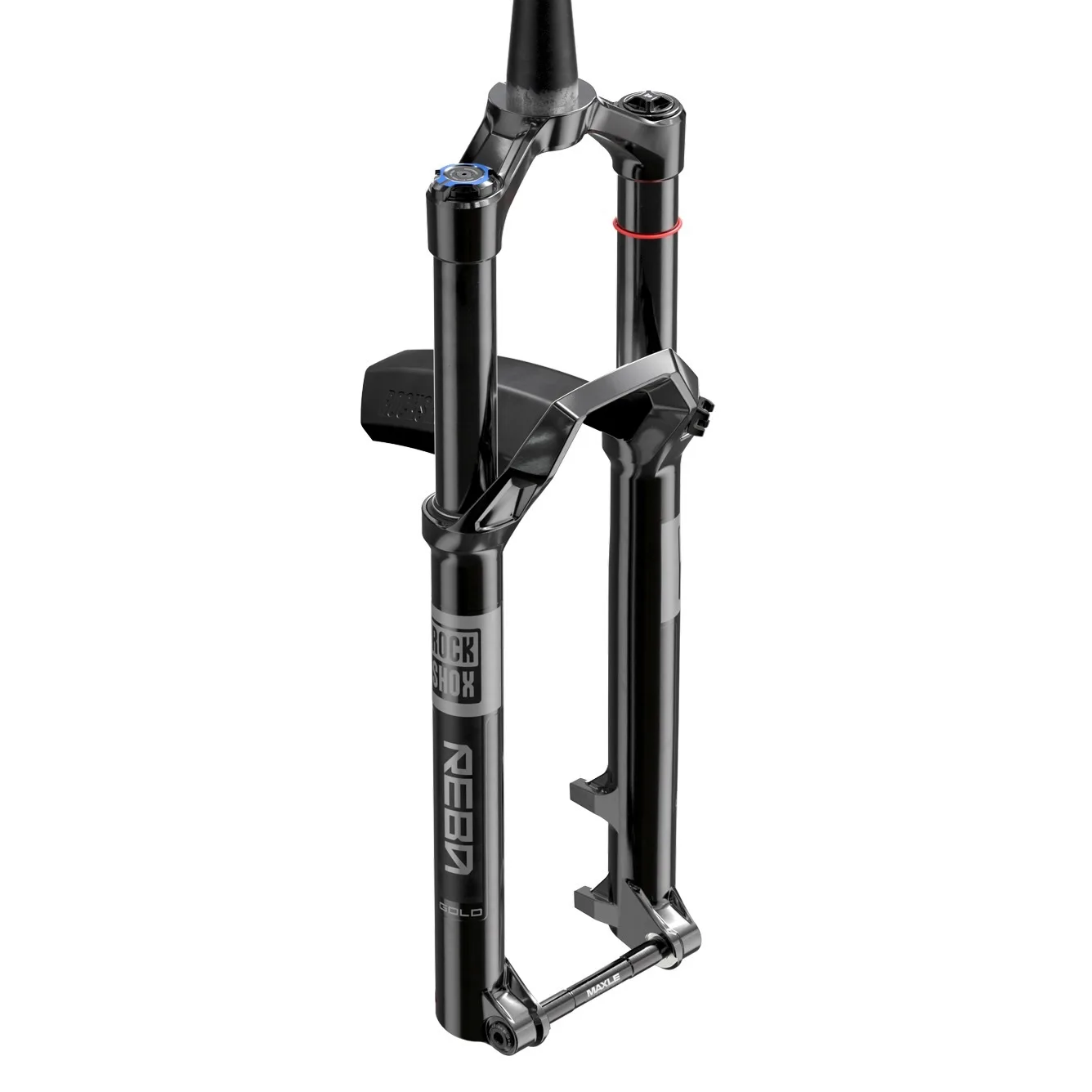 studio image of the reba fork with a fender on it