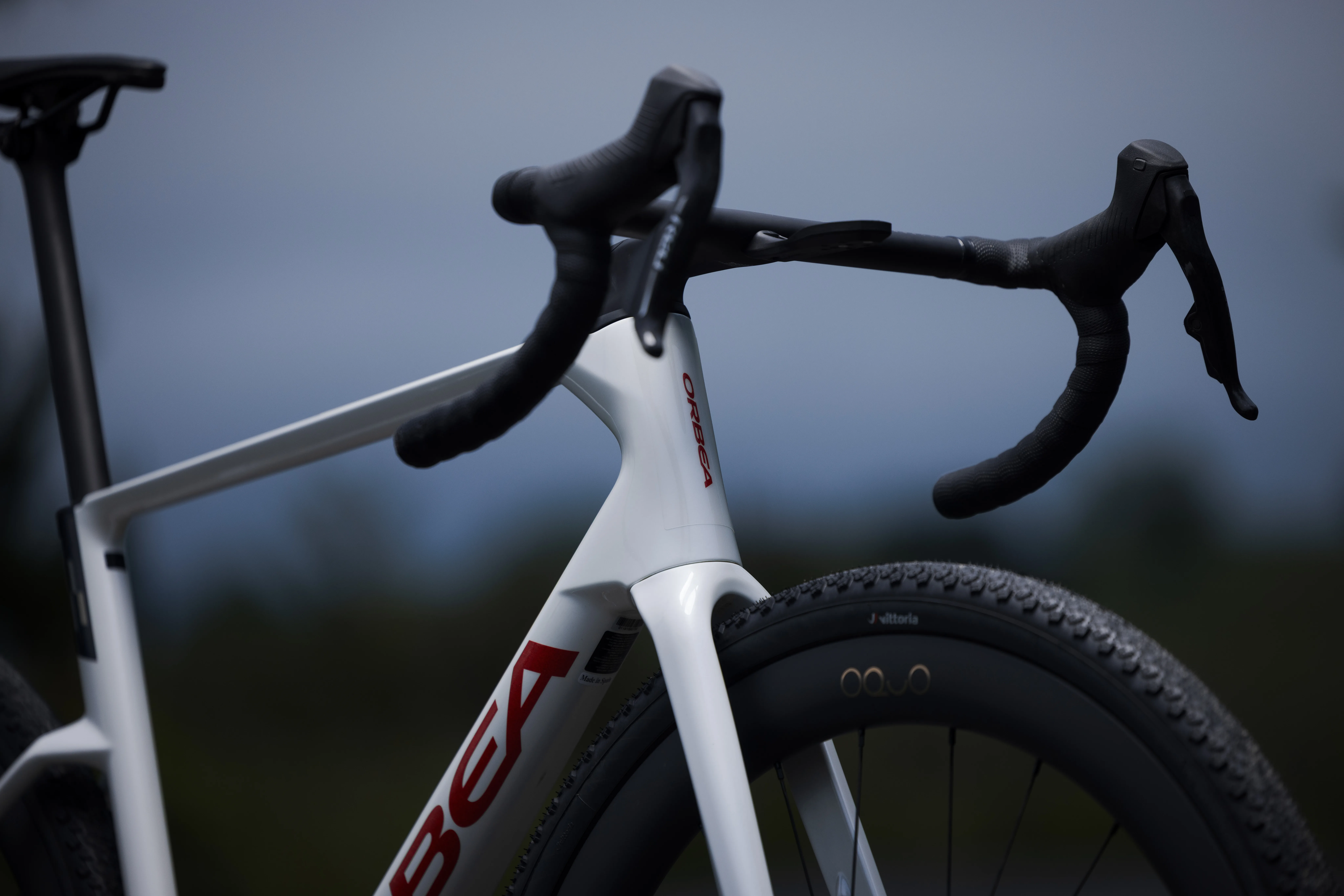 Orbea Terra Race front wheels