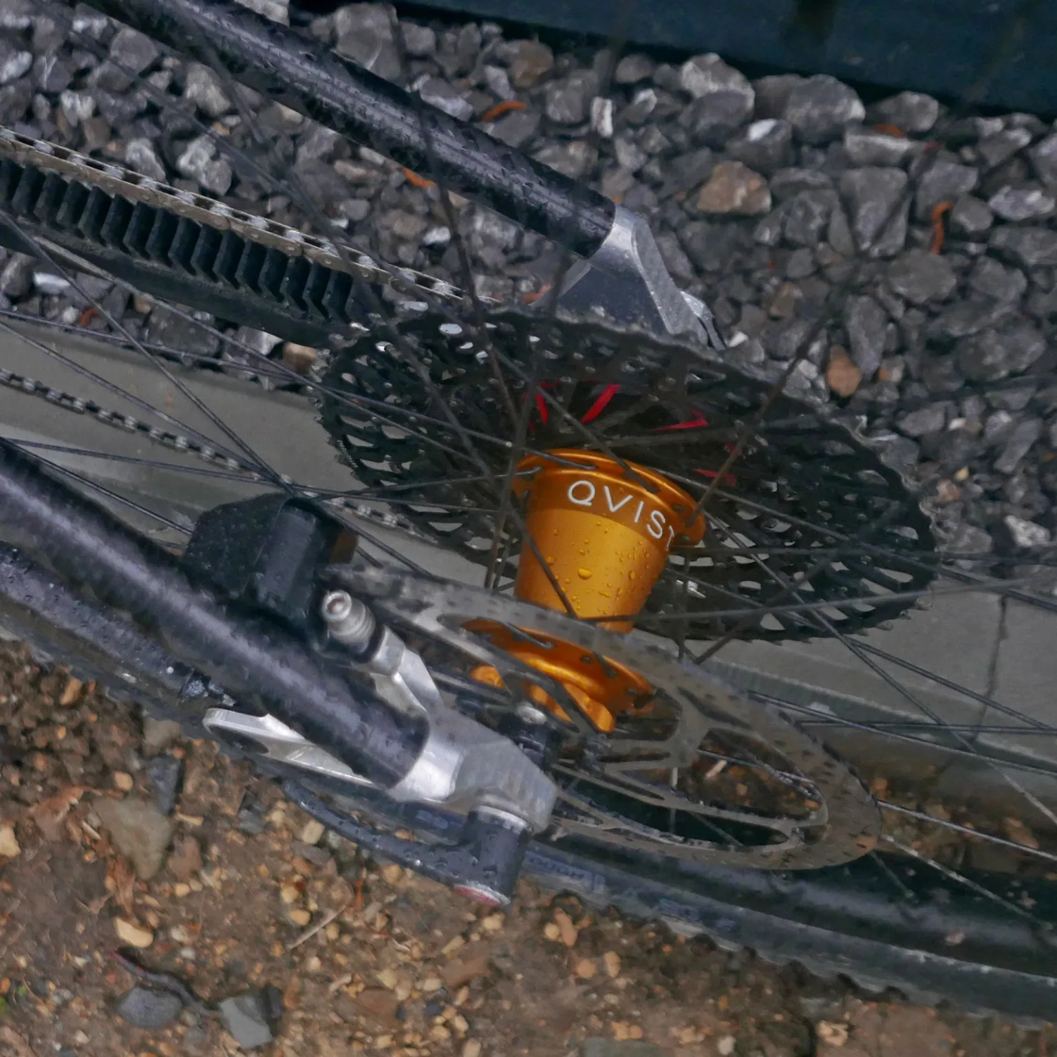 Pro Bike Check: prototype Cduro High Pivot, adjustable 170/190mm carbon WC enduro bike, Qvist rear hub