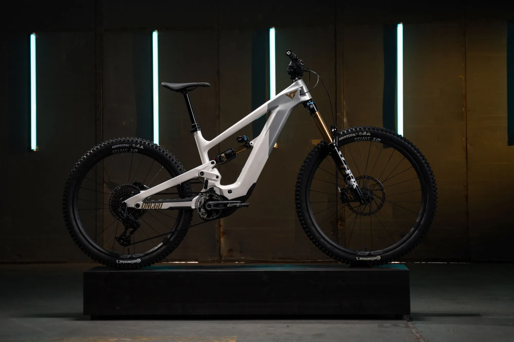 Stock image of the new YT Decoy EMTB