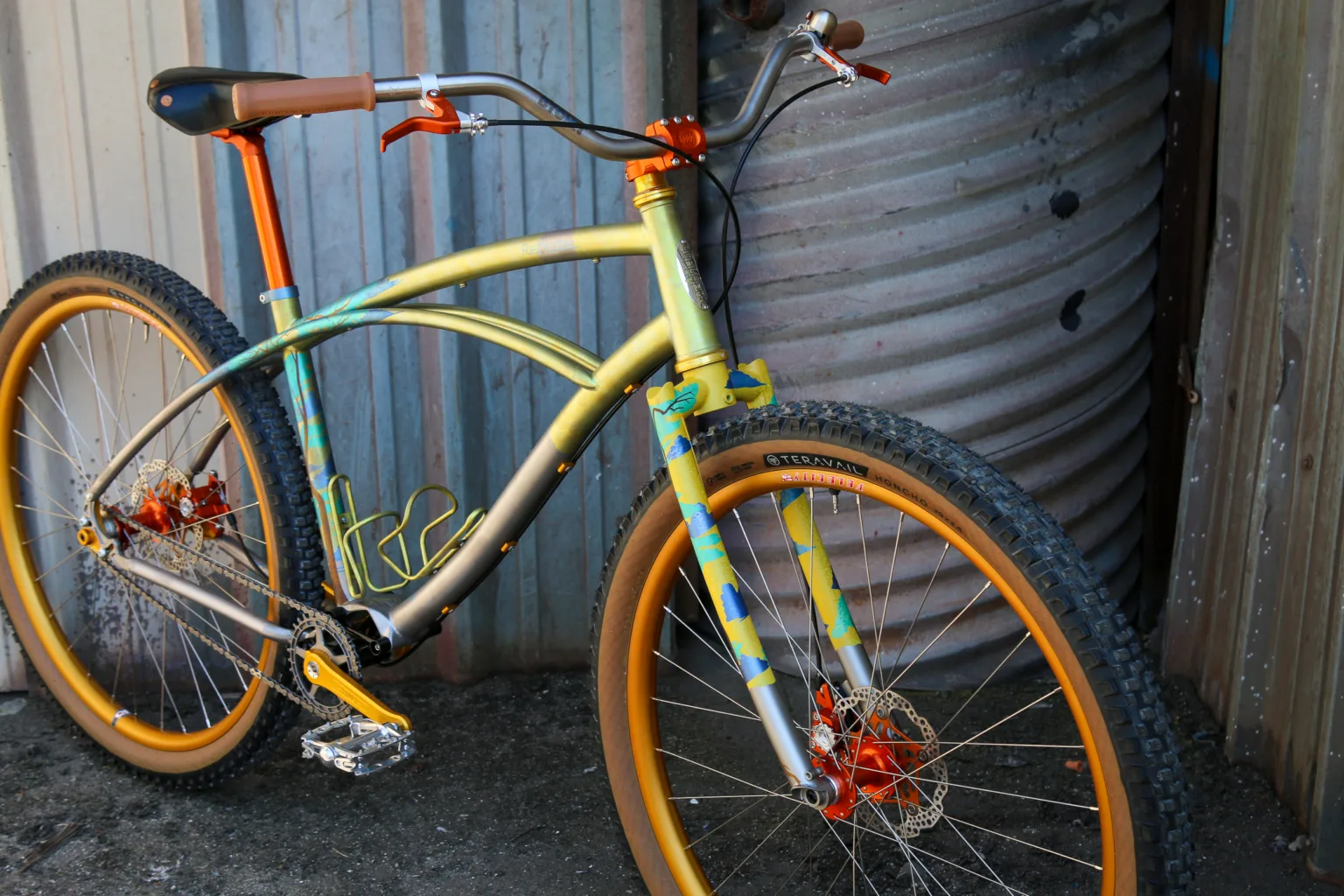 Retrotec titanium single speed Pinion bike