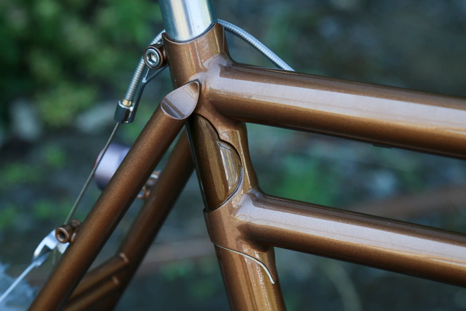 Wilde Bikes Dog Star detail