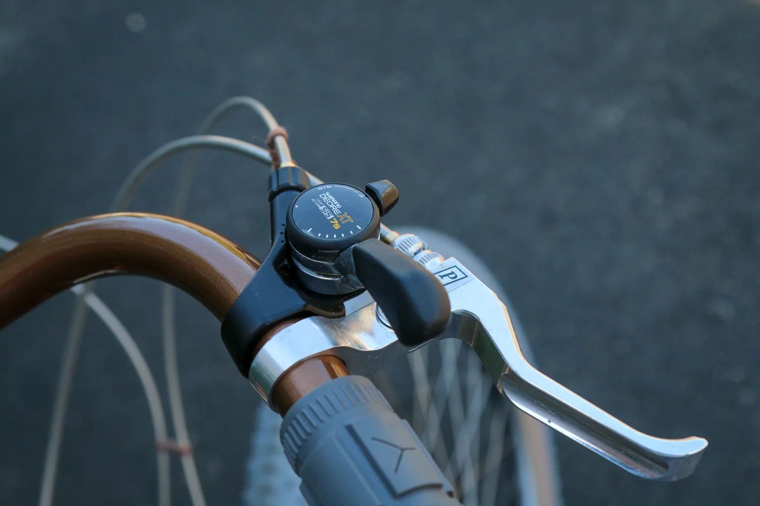 Wilde Bikes Dog Star shifter