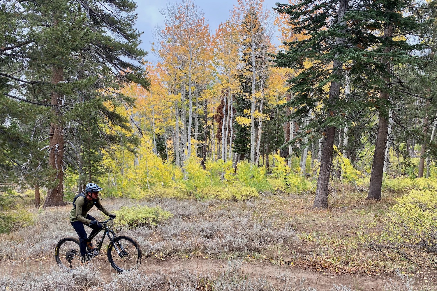 Riding the Apogee one up a trail with colorful aspens in the background.