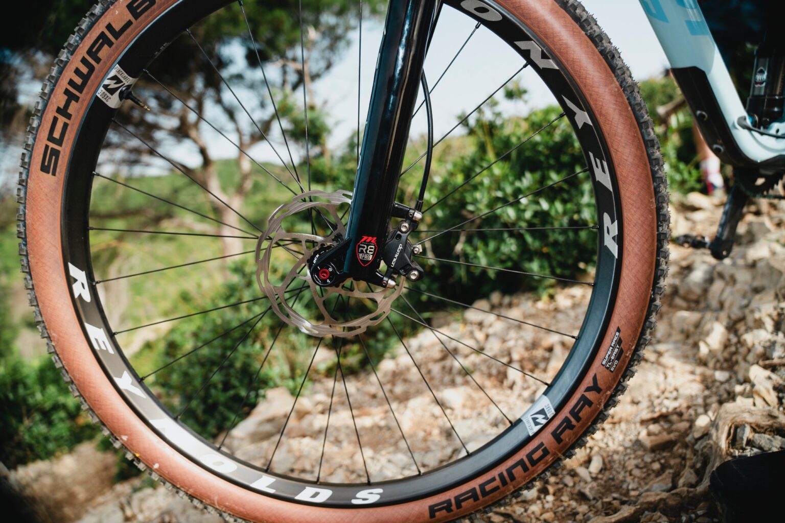 stock image of a Reynolds XC mountain bike wheel