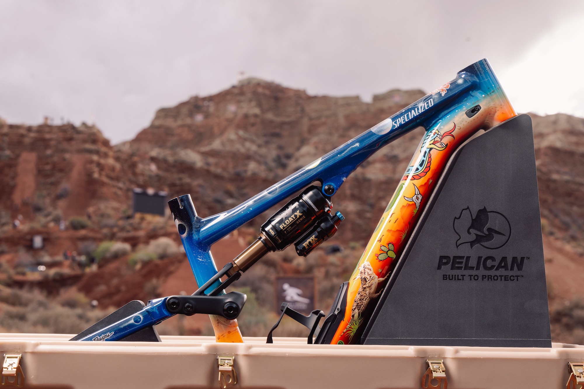 One of the custom Specialized x Troy Lee frames for the Rampage giveaway.