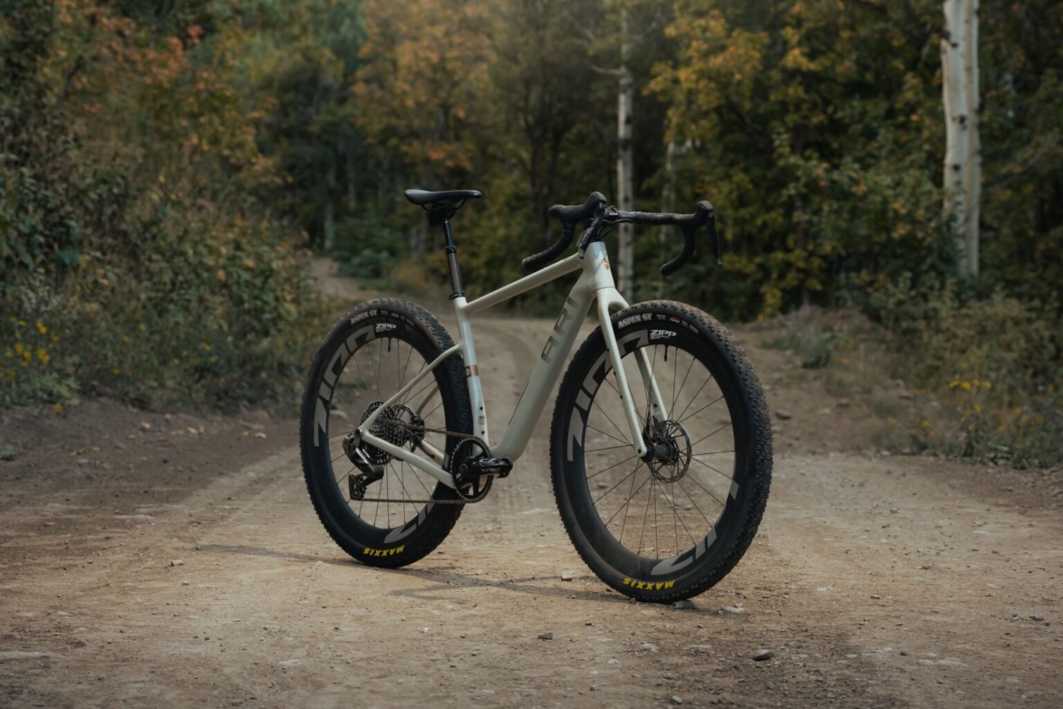 stock image of the Ari Shafer 3.0 posing on a gravel road and looking pretty