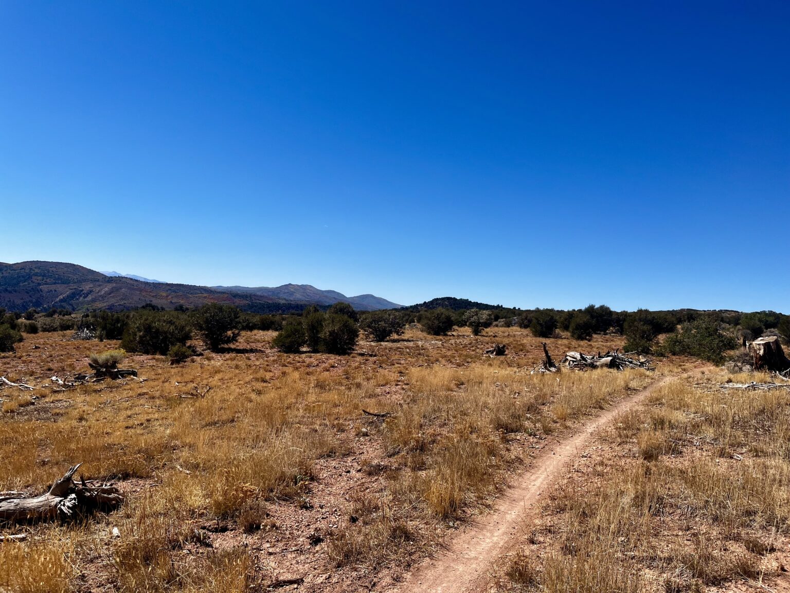 Three distinct zones of Spinal Tap: Aspen, High Desert, and Red Rock